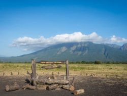 Keindahan Taman Nasional Baluran, “Africa van Java” di Ujung Timur Jawa