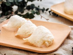 Kulit Sehat Alami: Manfaat Tersembunyi Sarang Burung Walet